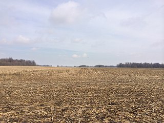 84+/- Acres Nearly level to gently rolling farmland.

Seller requires a 3 - 5 year leaseback, call for details. - 33+/- Acres in Henry County, IN & 51+/- Acres in Madison County, IN